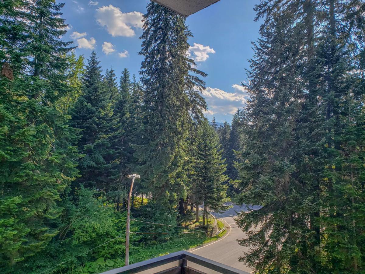Lovely Borovets Apartment Exteriér fotografie